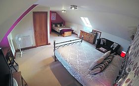 Deerview Bed & Breakfast